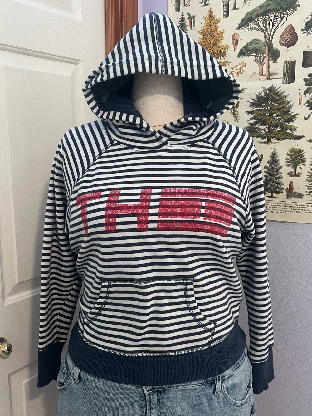 Tommy Hilfiger Navy and White Striped Hoodie with Red Logo